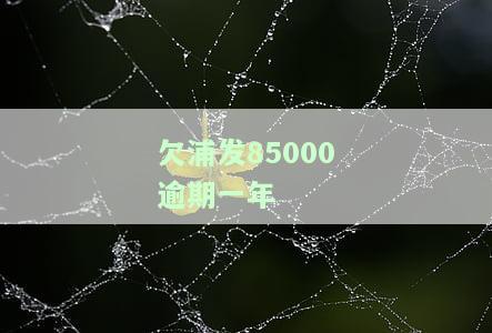 浦发银行逾期一年半了可以协商分期还款吗安全吗？