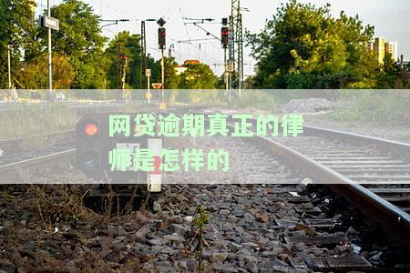 网贷逾期律师有用吗