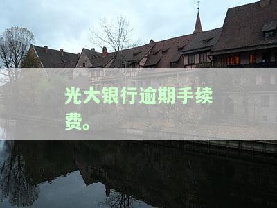 光大银行逾期手续费怎么免？
