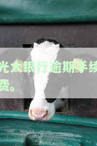 光大银行逾期利息是多少，费用怎样计算？