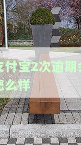 支付宝2次逾期会怎么样吗？会上征信有影响吗？