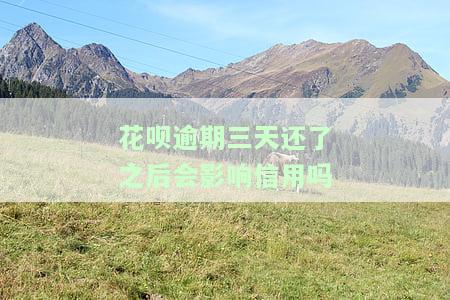 花呗逾期几天会影响信用卡征信吗知乎