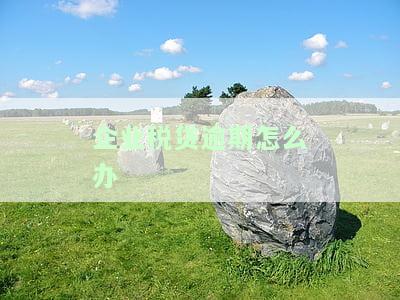企业税贷逾期怎么办手续及解决方法