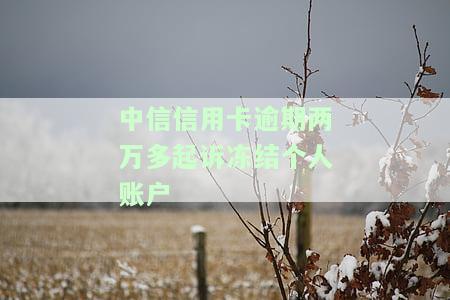 中信信用卡逾期两万多起诉冻结个人账户，欠款1万多被起诉怎么办？