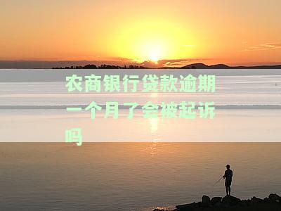 农商银行贷款逾期一个月了会被起诉吗知乎：后果怎么样