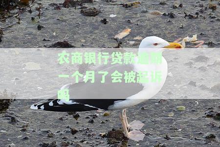农商贷款逾期一个月后果及应对措
