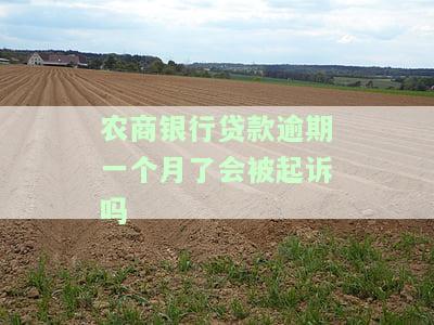 农商银行贷款逾期一个月了会被起诉吗
