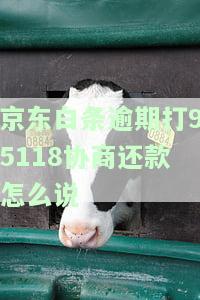 逾期协商还款不上，如何联系客服电话？