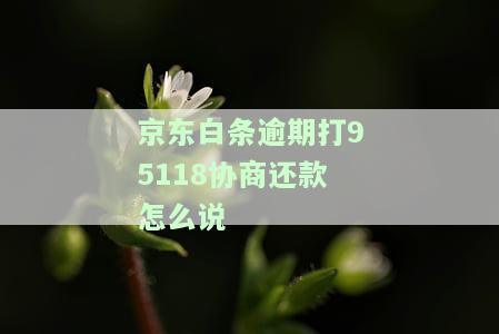 逾期打95118协商还款不合法，如何打客服电话协商还款，被催收是否可与官方客服协商？