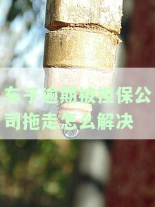 车子逾期被担保公司拖走，如何解决？报警会处理吗？