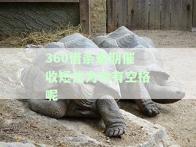 收到催收函不处理的后果及解决方法