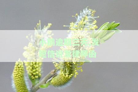 小鹅逾期三天,发短信说发律师函