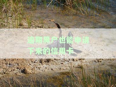 逾期黑户能办银行卡吗，逾期多久会被列入失信人名单