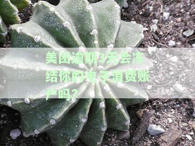美团逾期3天会冻结你的电子消费账户吗安全吗？