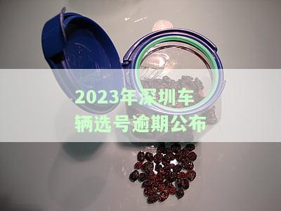 深圳小汽车选号什么时候放号及办理时长