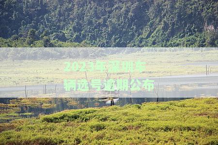 深圳车牌选号时间限制和规定