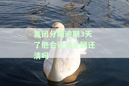 美团分期逾期3天了全额还清怎么办