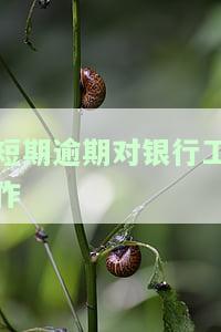短期逾期对银行工作的影响及相关影响