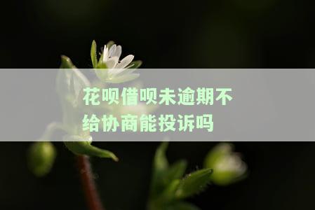 花呗借呗未逾期不给协商能投诉吗
