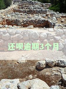 还呗逾期3个月会怎么样处理，可以协商一定期限内还款吗？