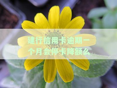建行信用卡逾期一个月会停卡降额么吗，怎么办，对信用有影响吗？