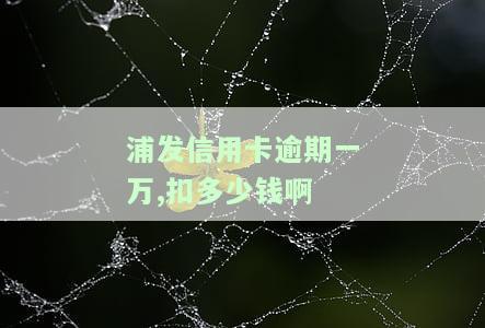 浦发信用卡逾期一万，怎么算扣多少钱？