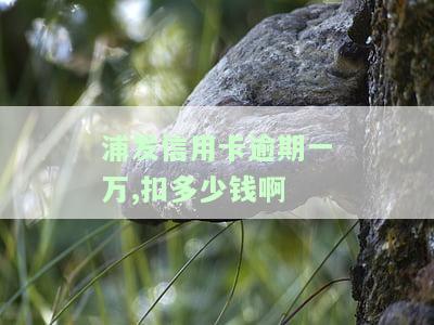 浦发银行欠款一万多，逾期一年，能协商分期还款吗？