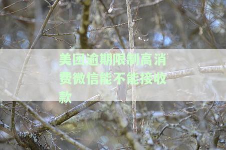美团逾期限行令真假及解除、申诉方式