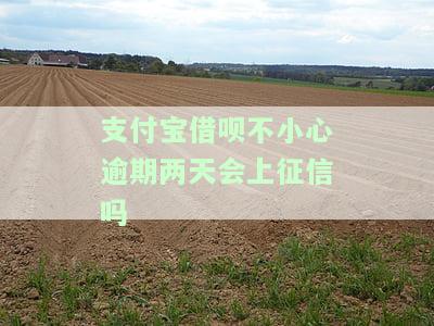 支付宝借呗不小心逾期两天会上征信吗知乎怎么办及消除时间