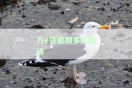 万e贷逾期后果及起诉时限