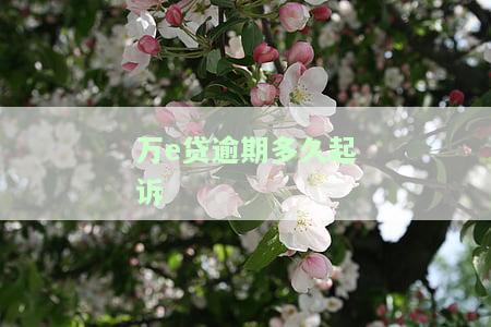 万e贷逾期多久会打通讯录和家人、单位联系？
