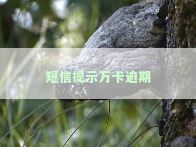 短信提示万卡逾期什么意思