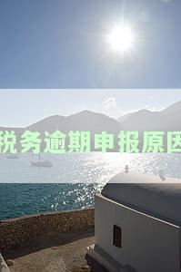 税务逾期申报原因怎么写说明