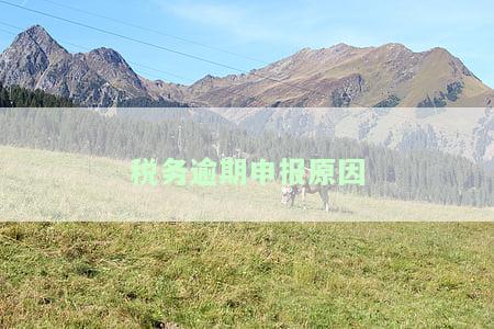 税务逾期申报原因