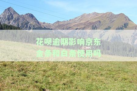 花呗当前逾期还可以申请么