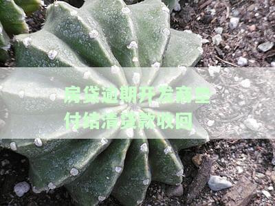 房子贷款逾期开发商垫付收回了房子，首付能要回吗？