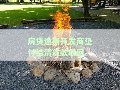 逾期还贷开发商主动垫付，合法应如何处理？