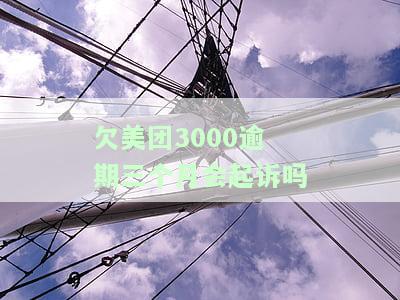 欠美团3000逾期三个月会起诉吗知乎怎么解决？