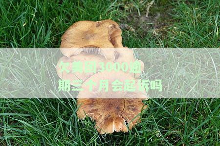 欠美团3000逾期三个月会起诉吗怎么办？