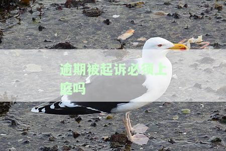 逾期被起诉必须上庭吗怎么办，逾期被起诉需要多长时间开庭