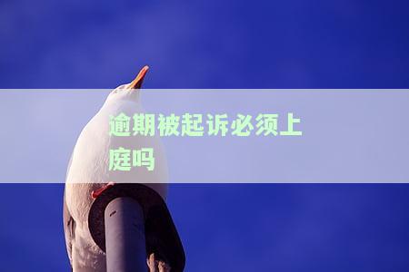 逾期要起诉我，银行流水户口本结婚证必需，打电话要填写报备单
