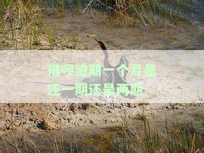 借呗逾期一个月严重吗
