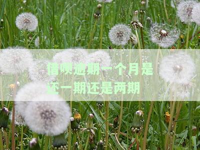借呗逾期一个月会要求全额还款吗，怎么办？