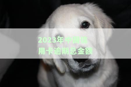 中国2020年信用卡逾期处理方式