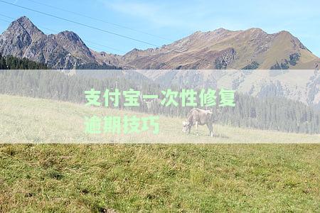支付宝能修复多少额度以内的逾期记录及时并修复征信