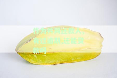 作为共同还款人，有过逾期，还能贷款吗？