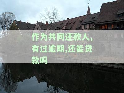 作为共同还款人，有过逾期，还能贷款吗怎么办？