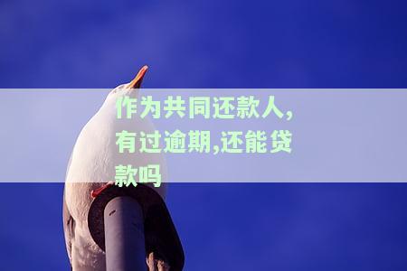 共同还款人有逾期会影响贷款吗及相关解决方法