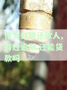作为共同还款人,有过逾期,还能贷款吗