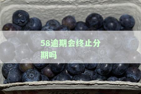 58逾期会终止分期吗